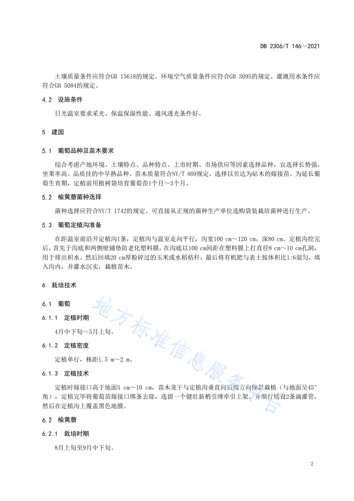 温室葡萄套种榆黄蘑栽培技术规程
