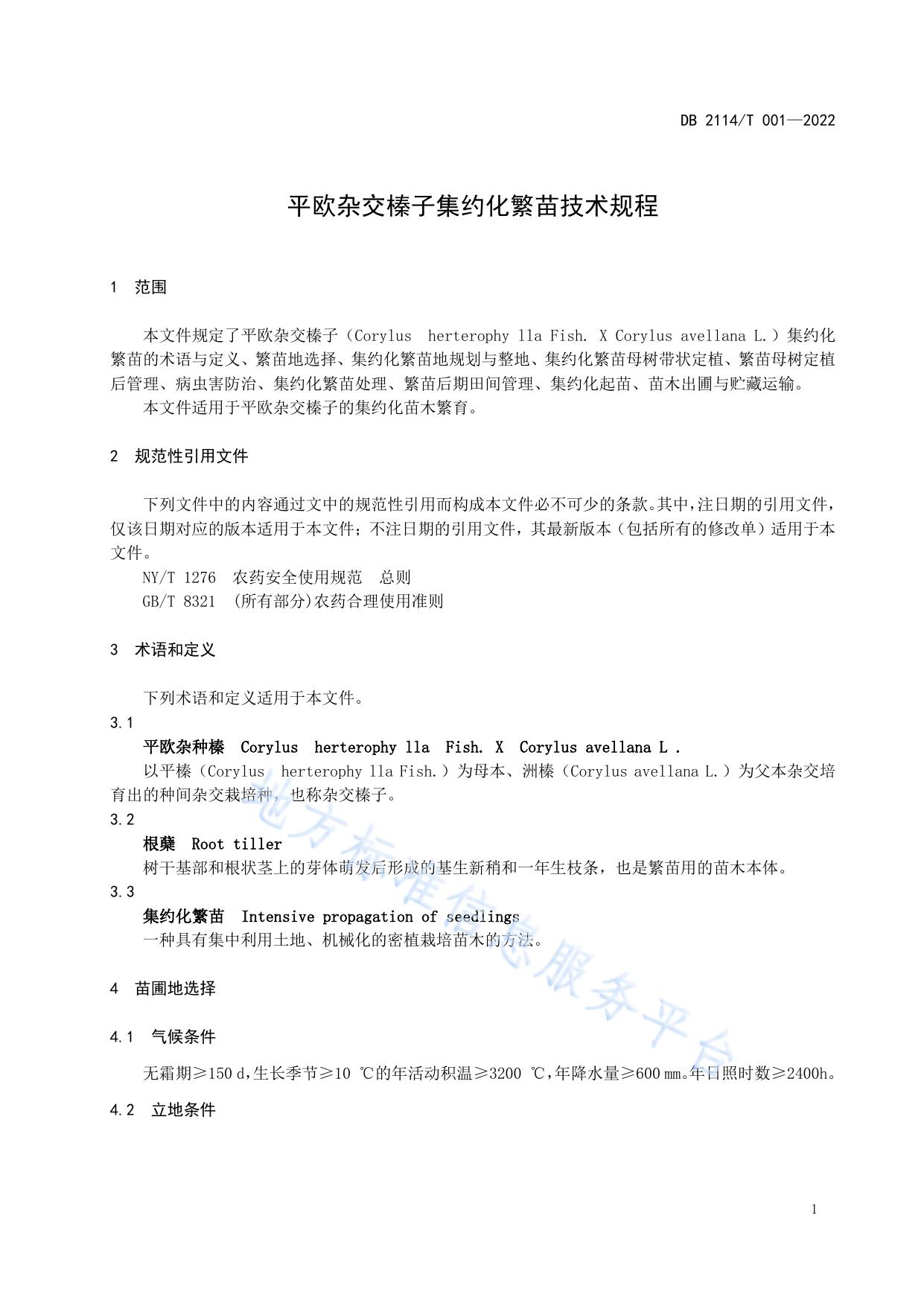 平欧杂交榛子集约化繁苗技术规程