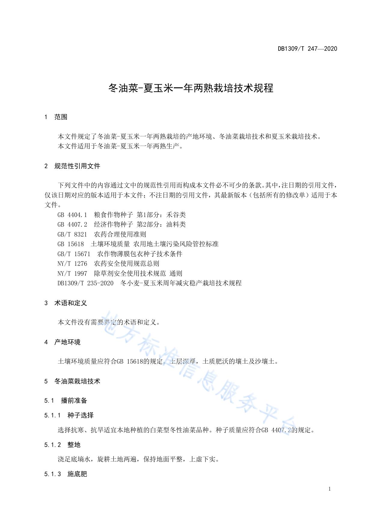 冬油菜-夏玉米一年两熟栽培技术规程