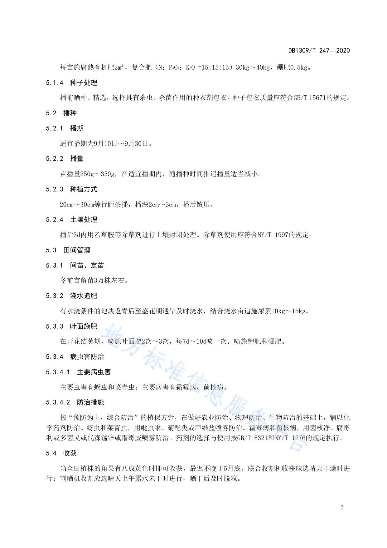 冬油菜-夏玉米一年两熟栽培技术规程
