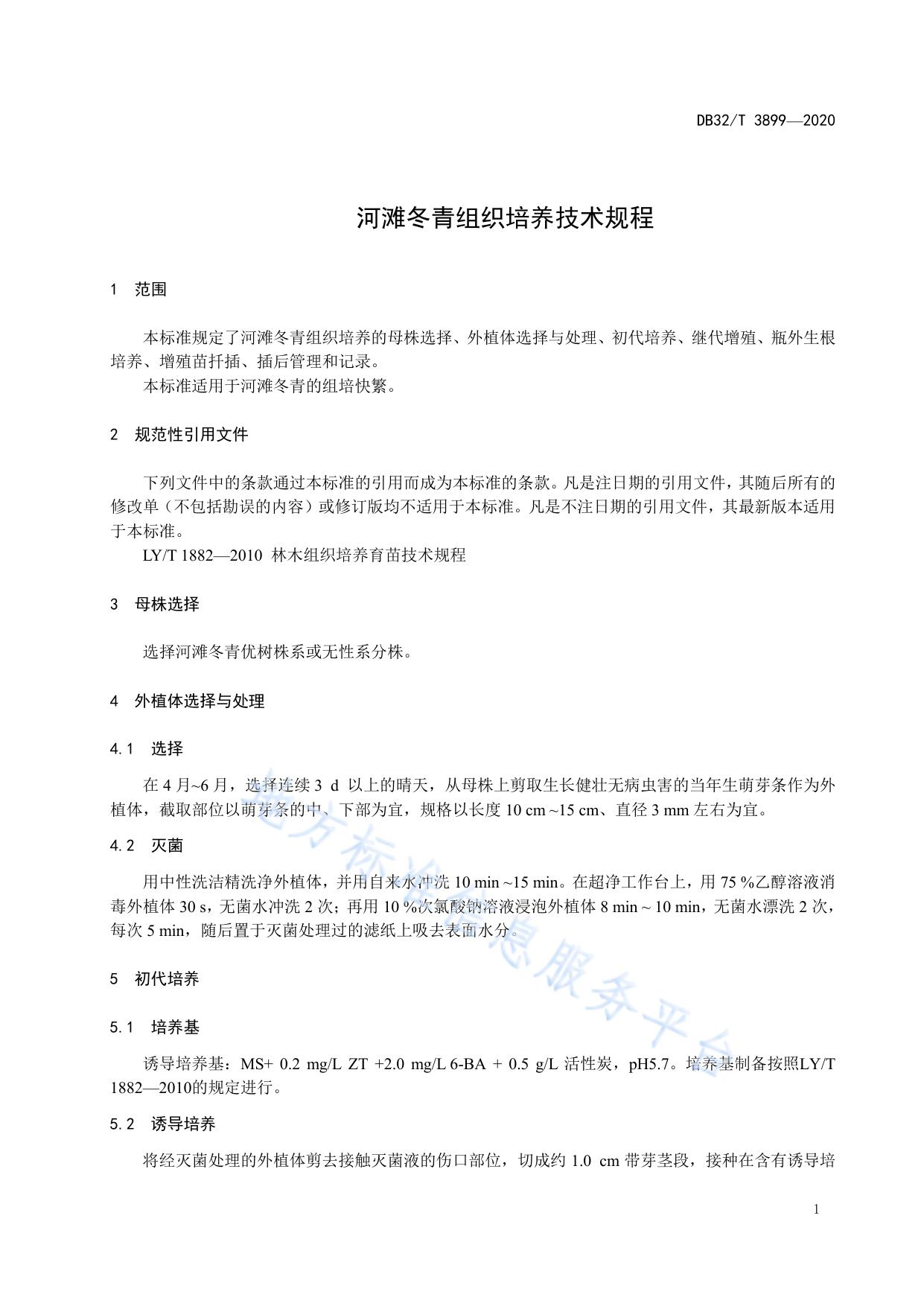 河滩冬青组织培养技术规程