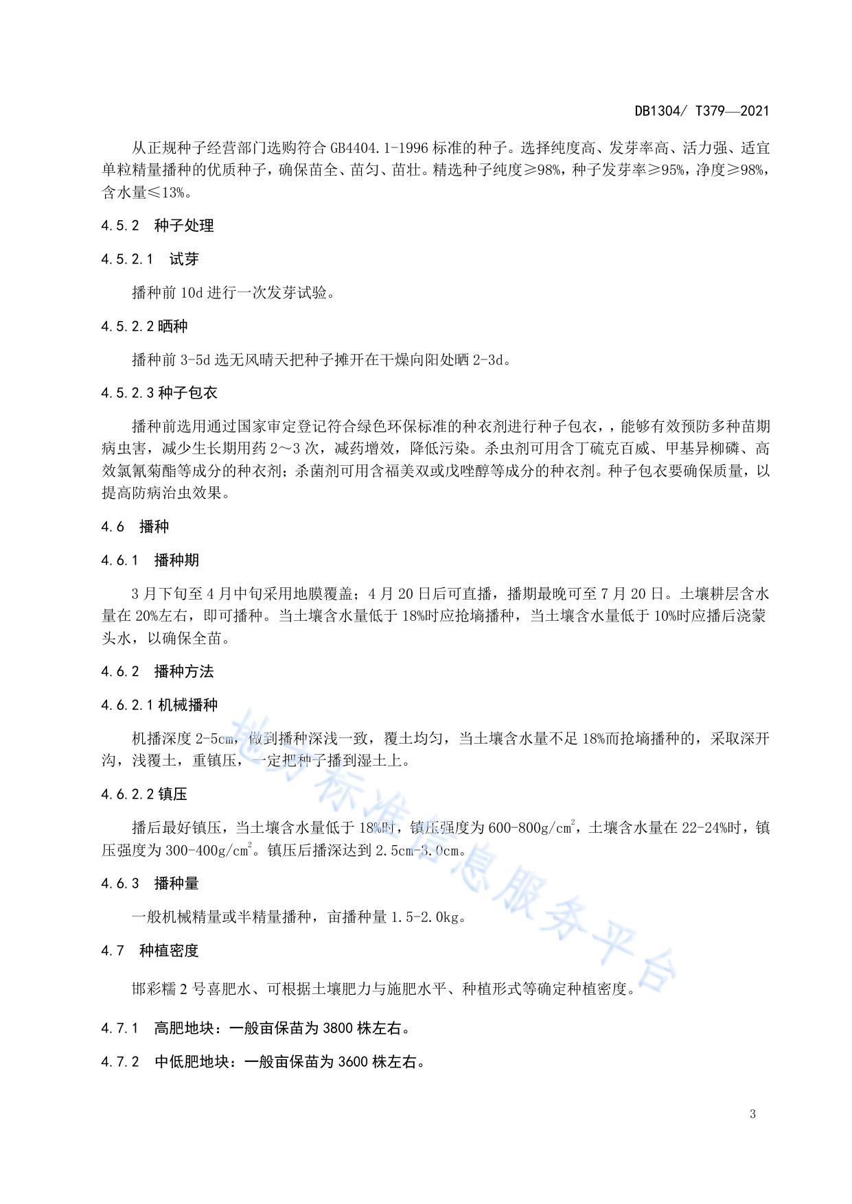 邯彩糯2号玉米高产高效栽培技术规程