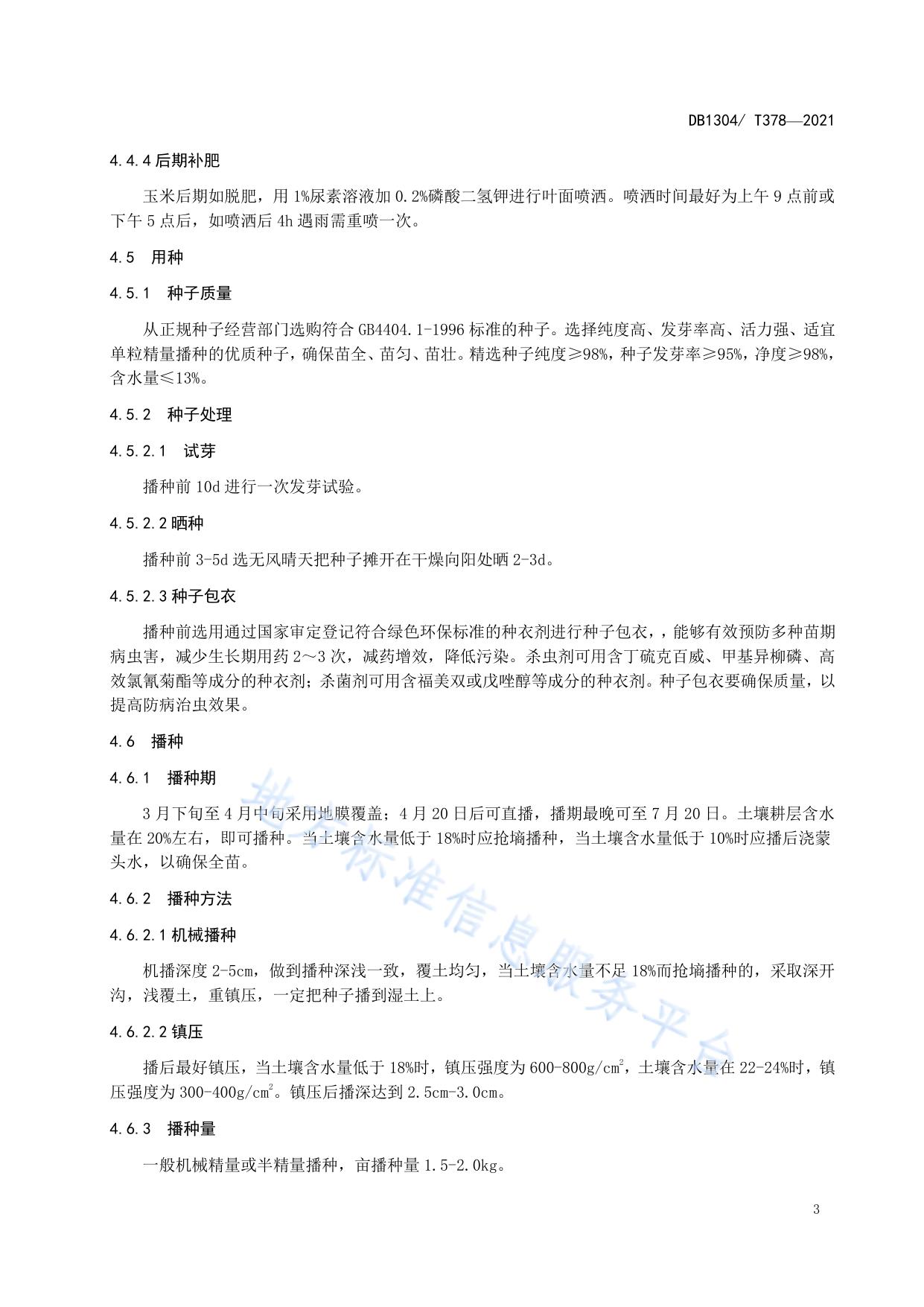 邯糯1号玉米高产高效栽培技术规程