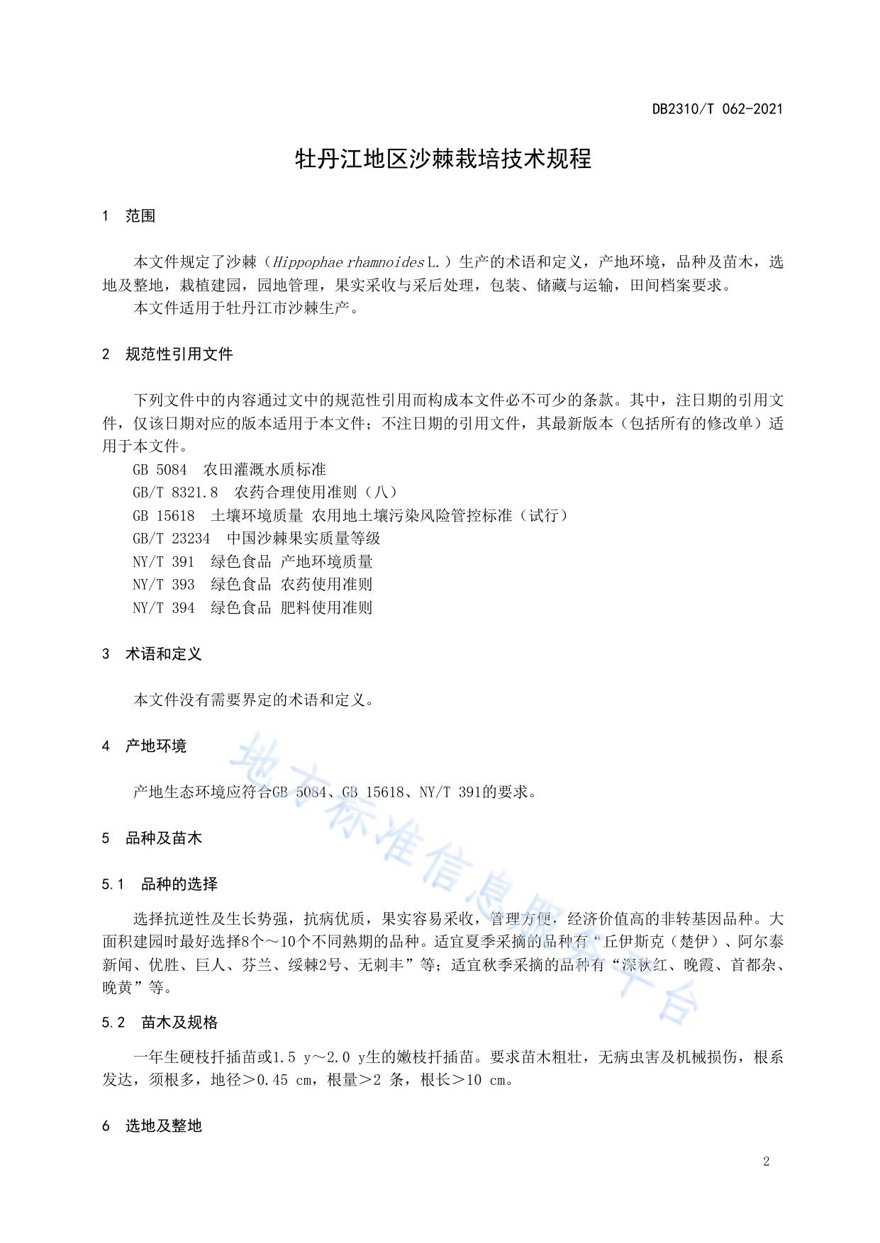 牡丹江地区沙棘栽培技术规程