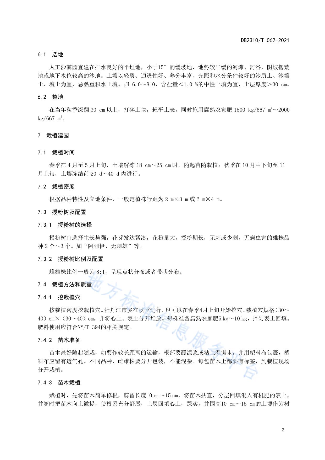 牡丹江地区沙棘栽培技术规程
