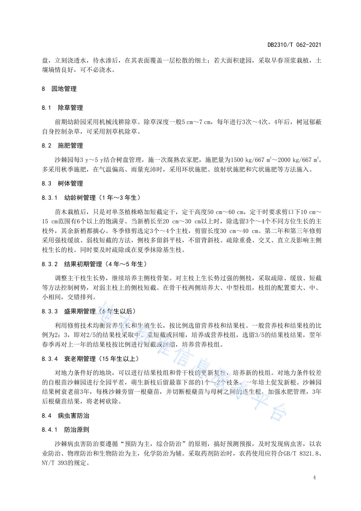 牡丹江地区沙棘栽培技术规程