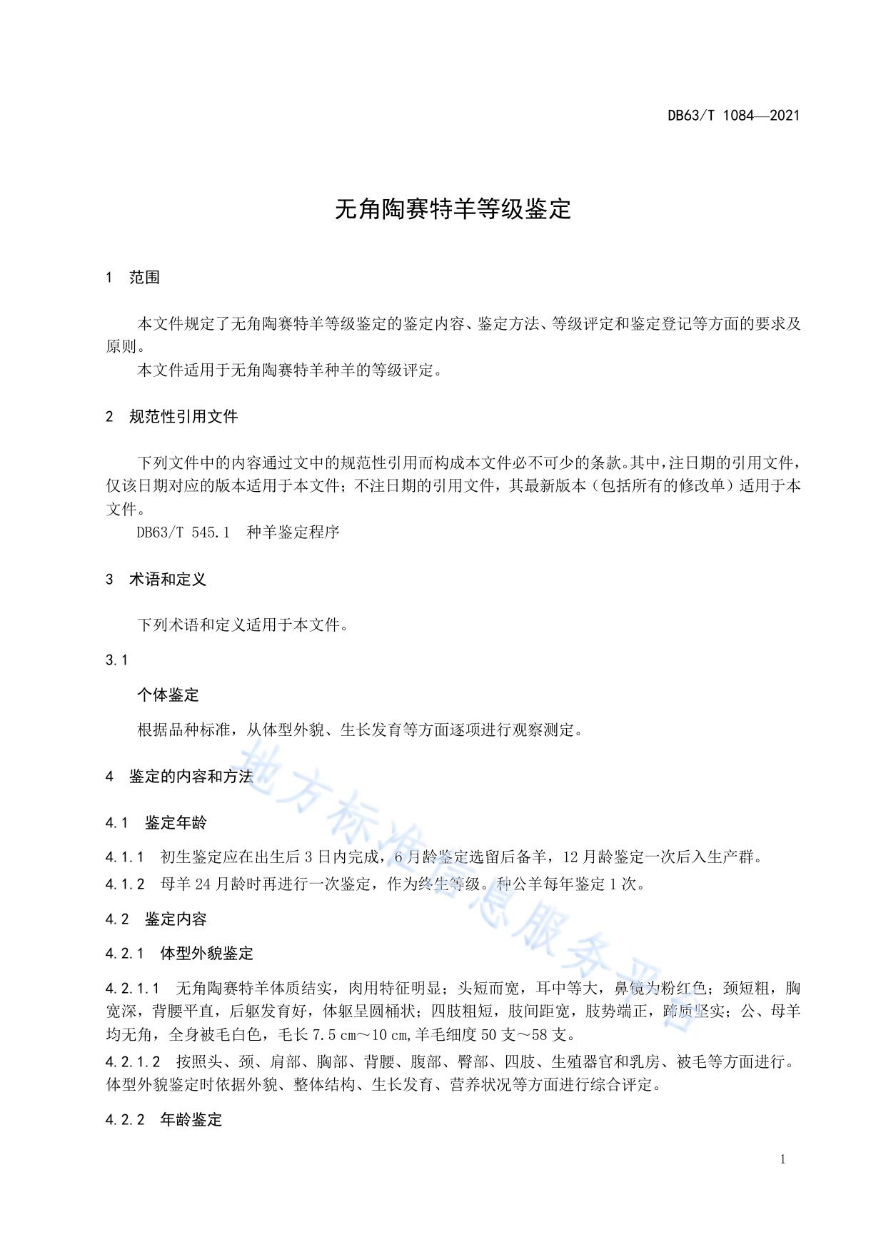 无角陶赛特羊等级鉴定