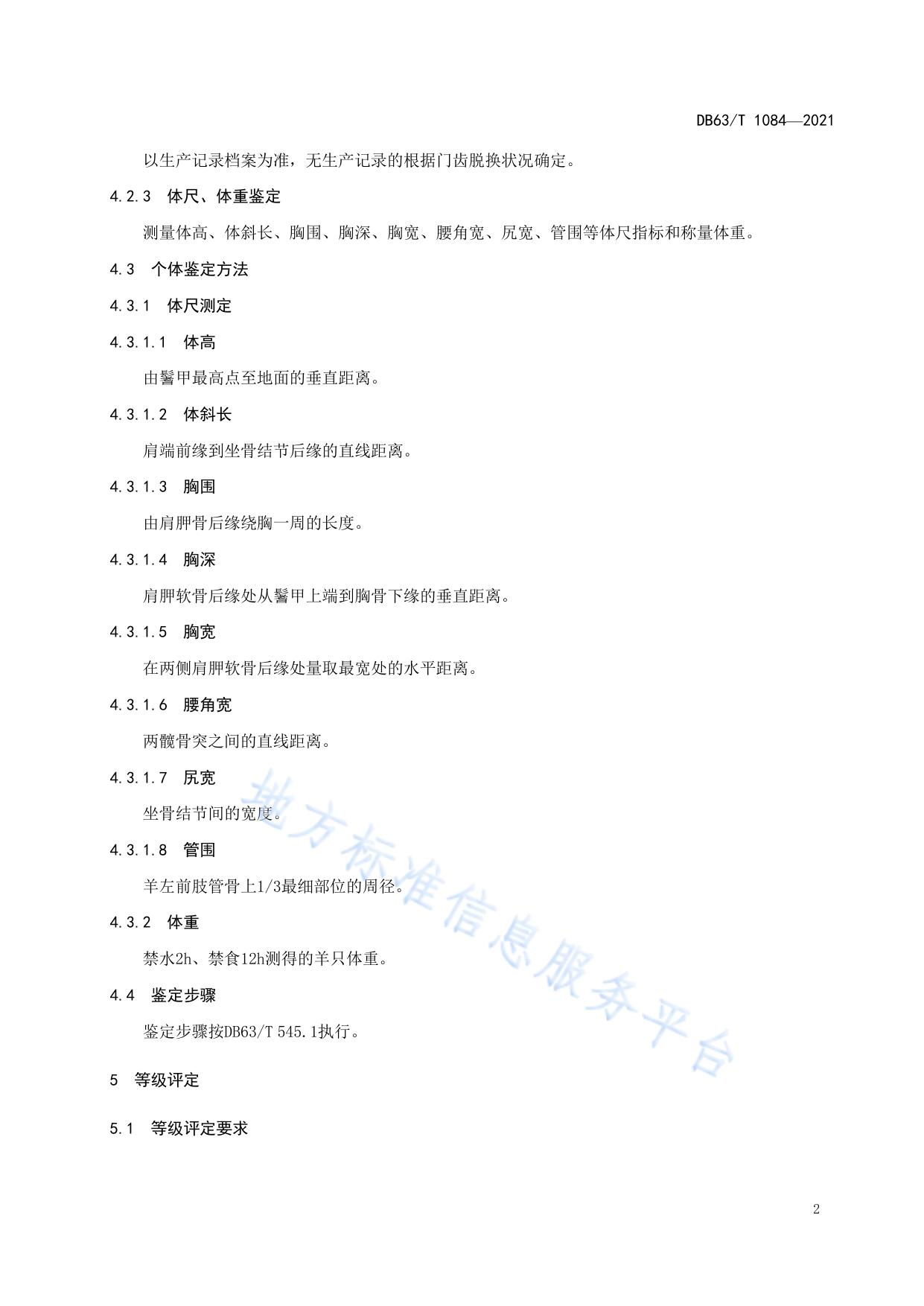 无角陶赛特羊等级鉴定