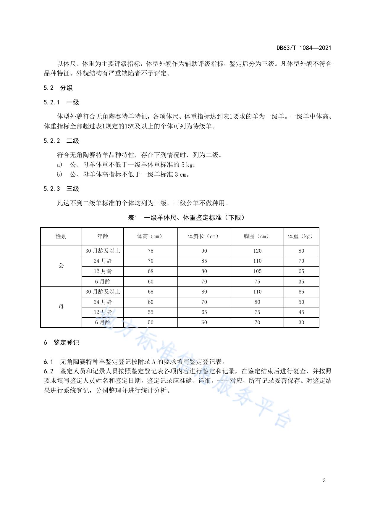 无角陶赛特羊等级鉴定