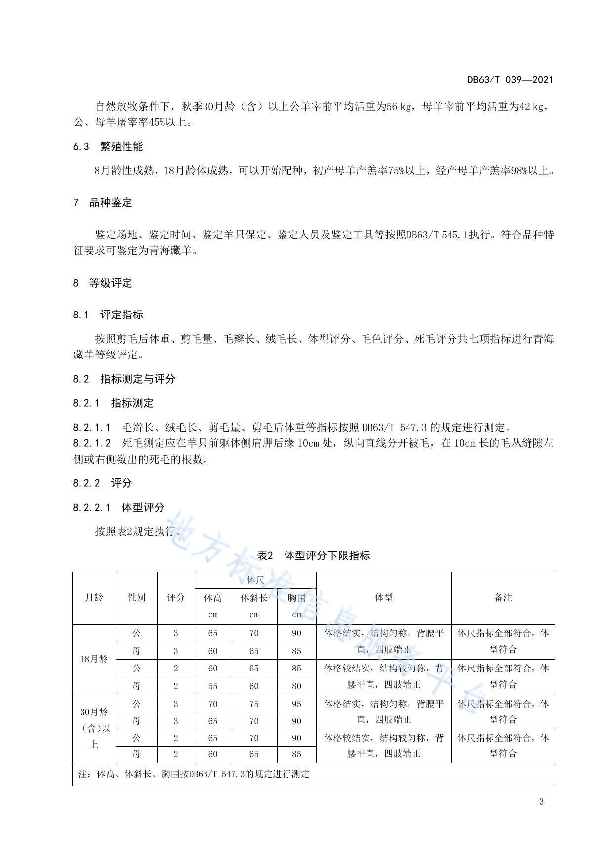 青海藏羊