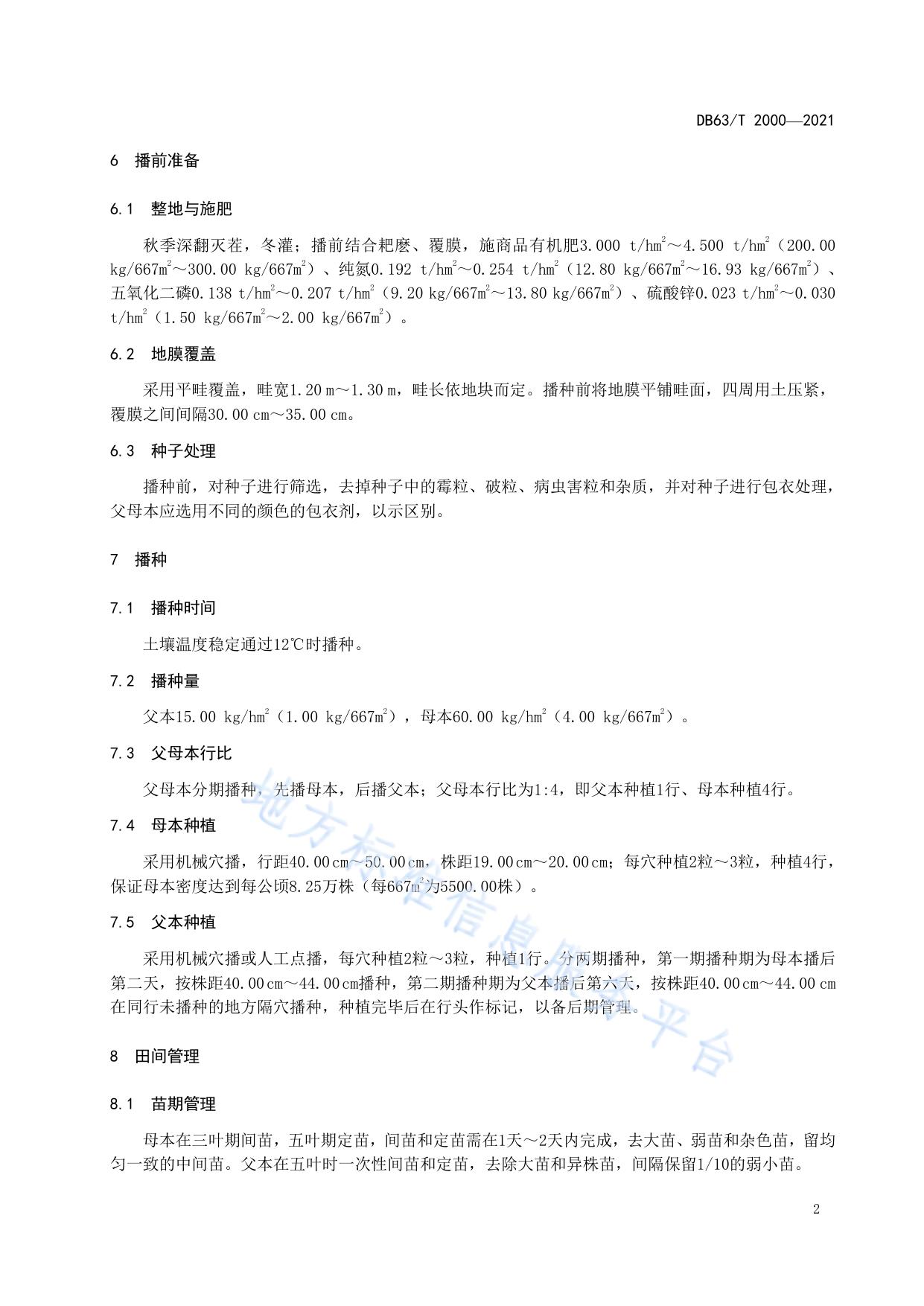 早熟玉米青早510制种技术规范