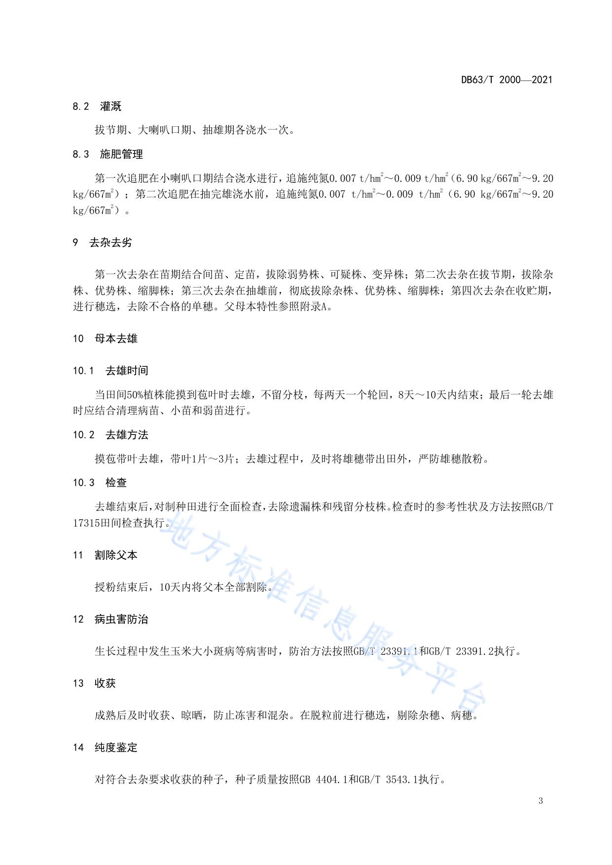早熟玉米青早510制种技术规范