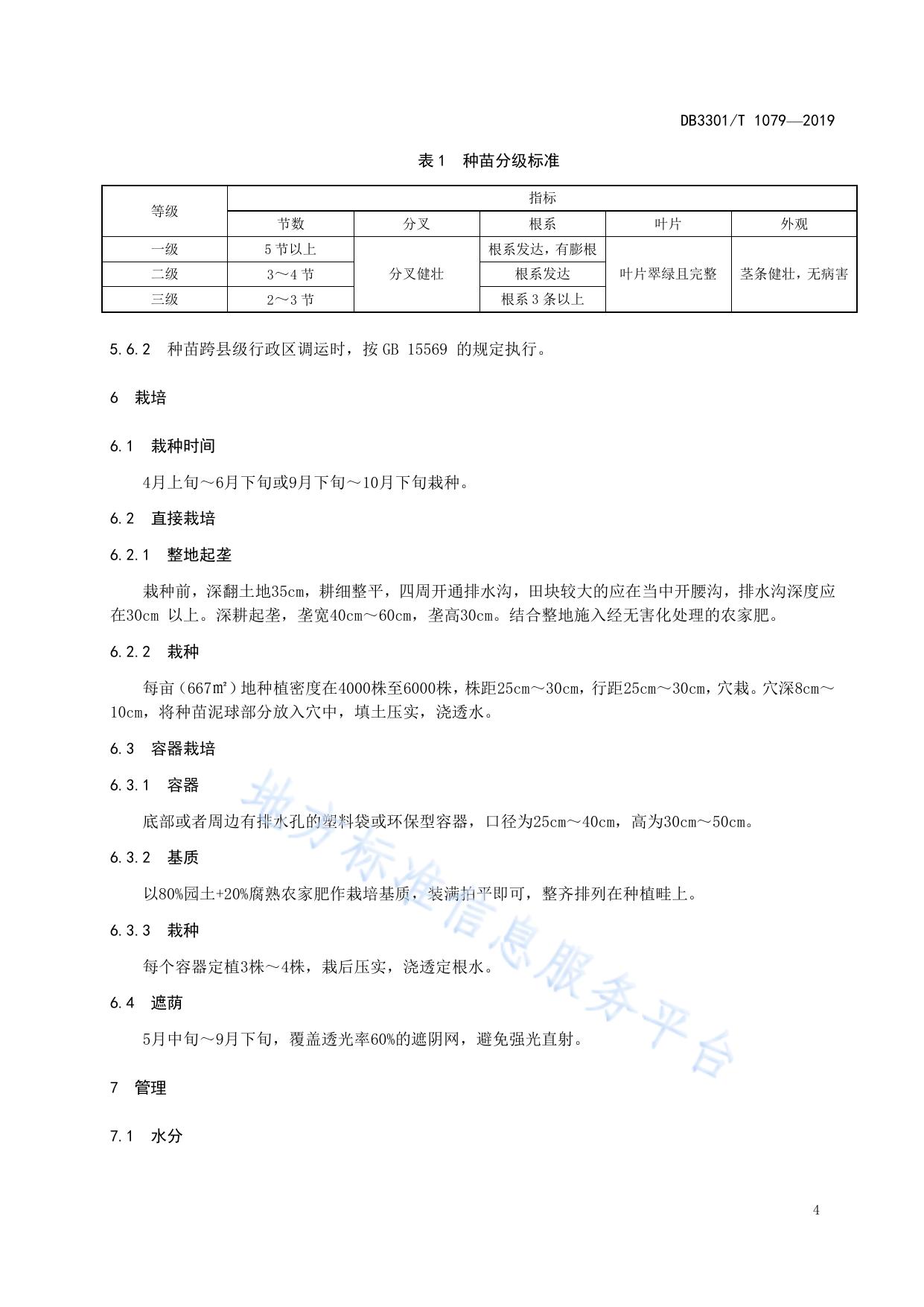 三叶青生产技术规程