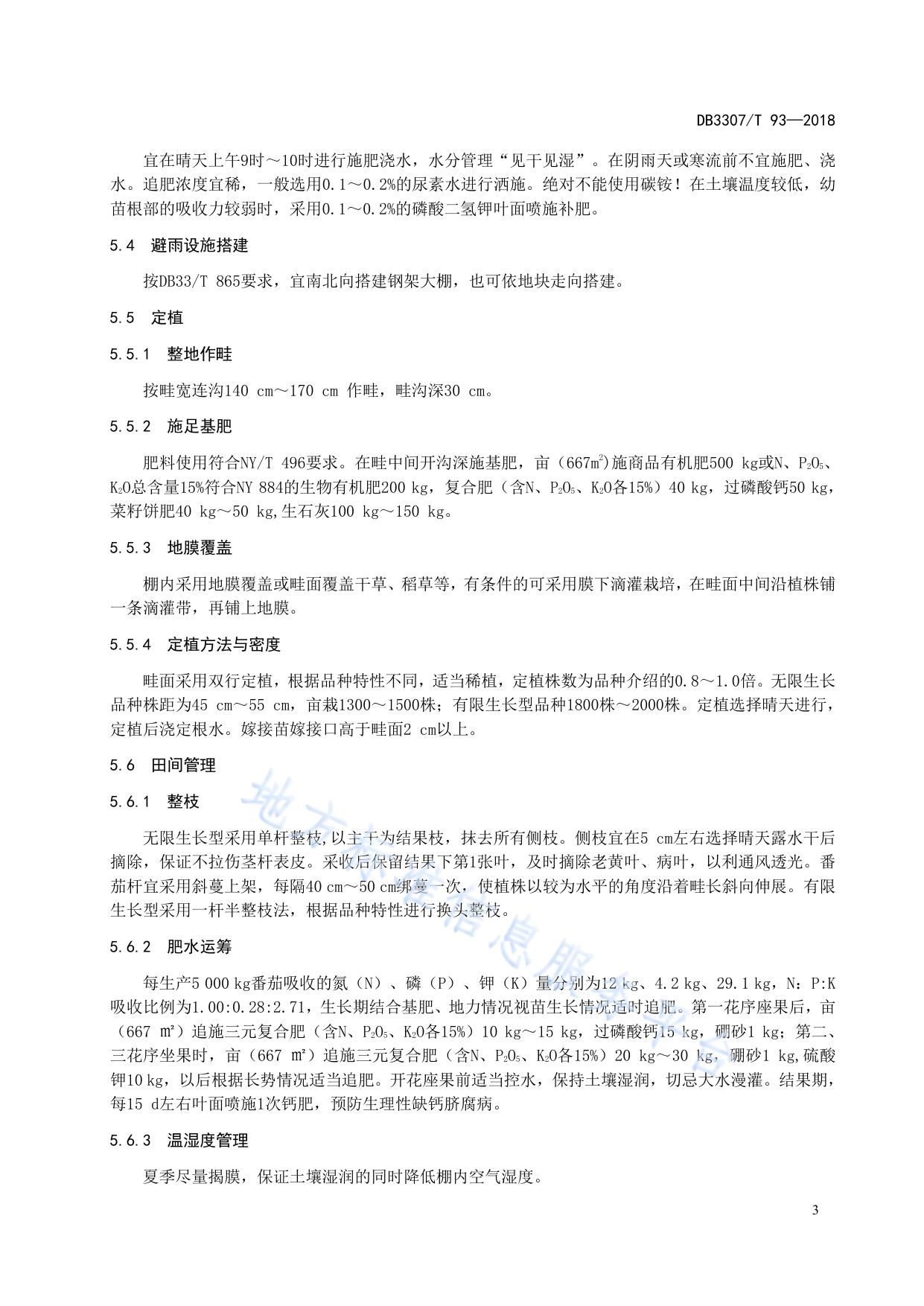 山地番茄避雨栽培技术规程