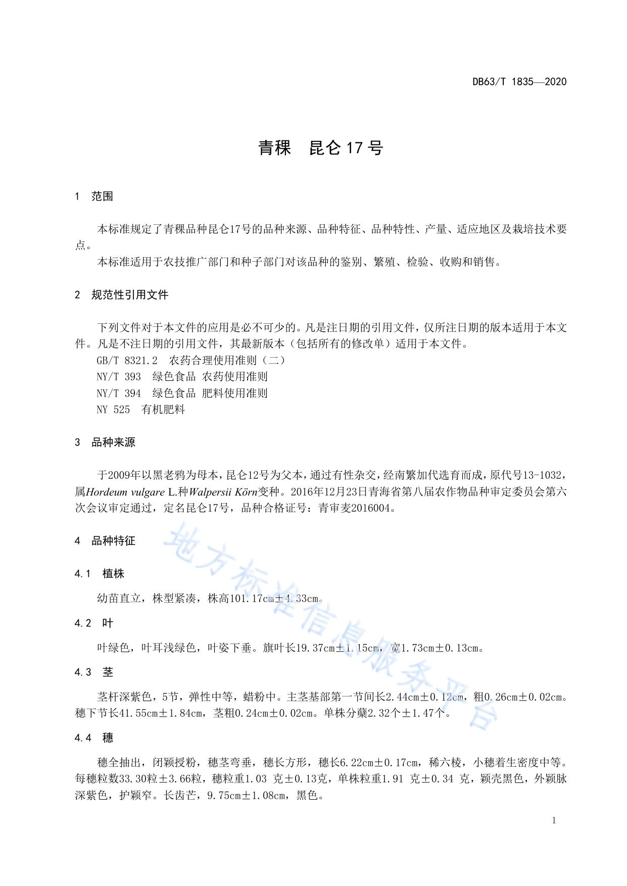 青稞 昆仑17号