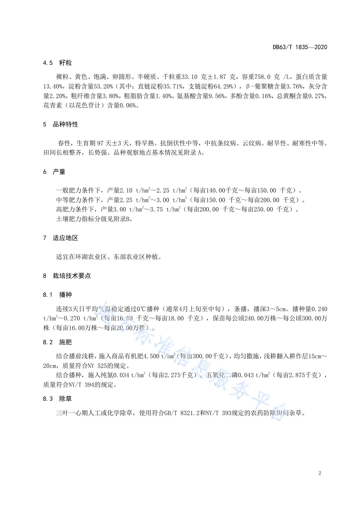 青稞 昆仑17号
