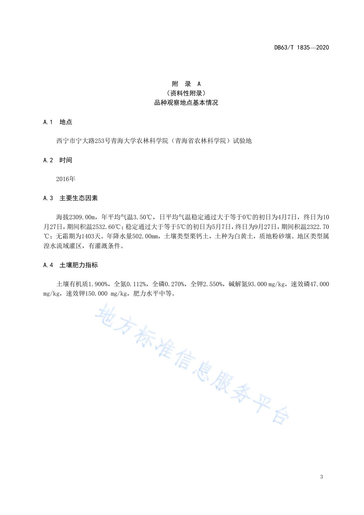 青稞 昆仑17号