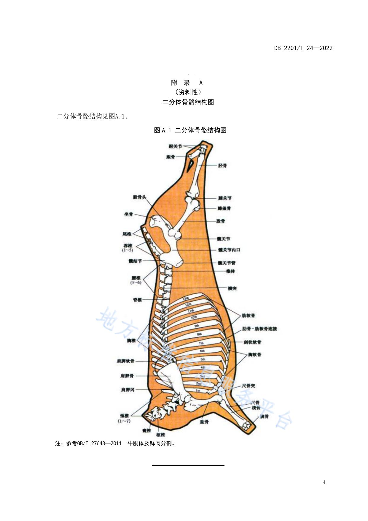 梅花鹿鹿肉分割技术规范