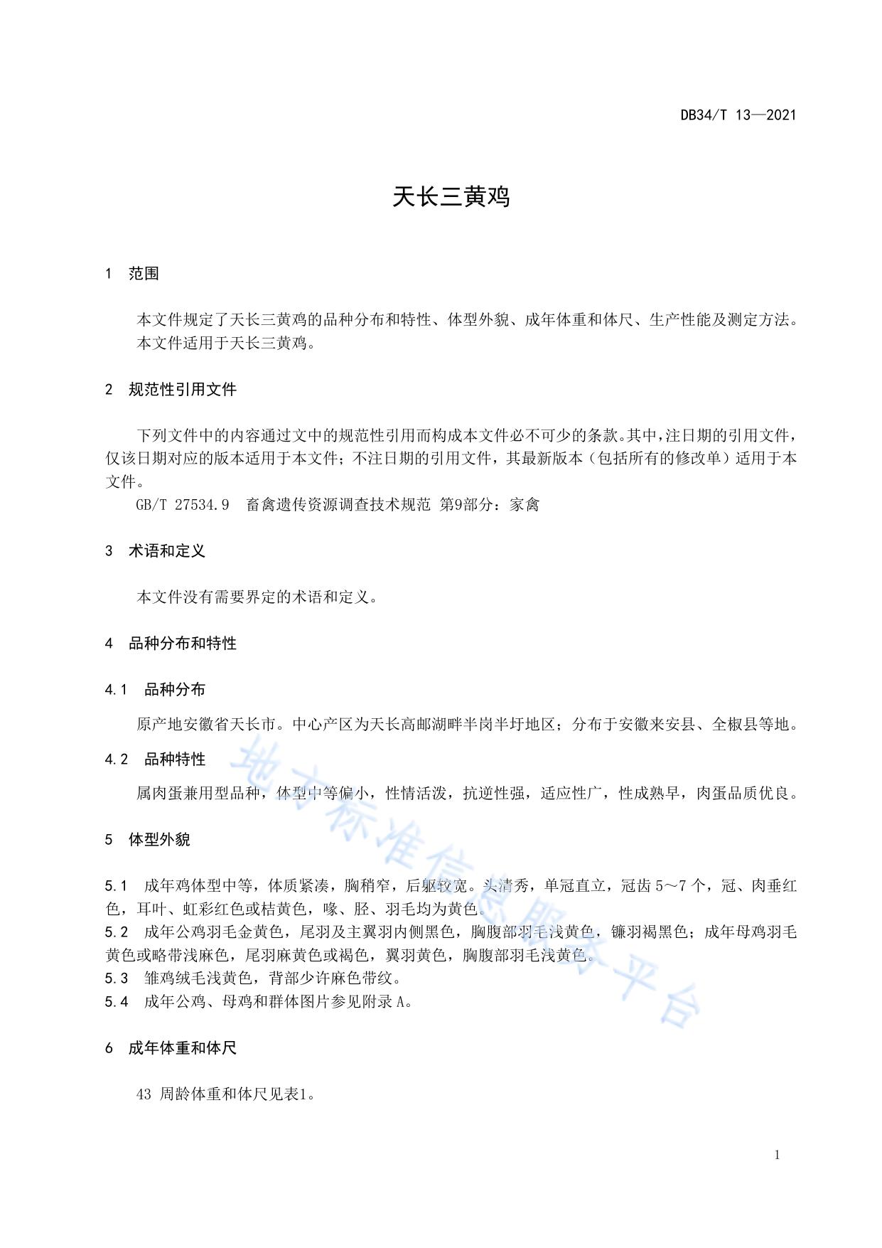 天长三黄鸡
