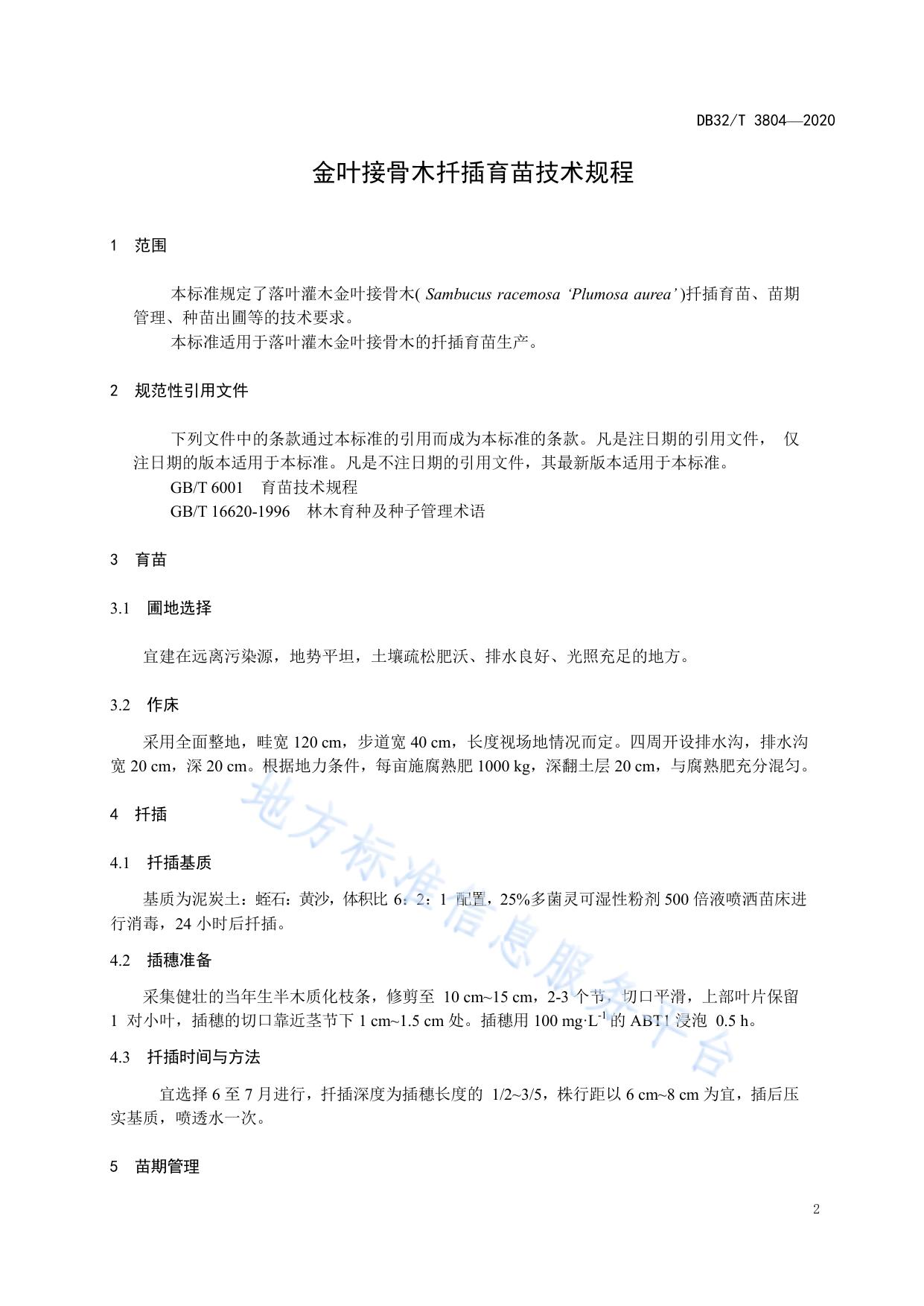 金叶接骨木扦插育苗技术规程