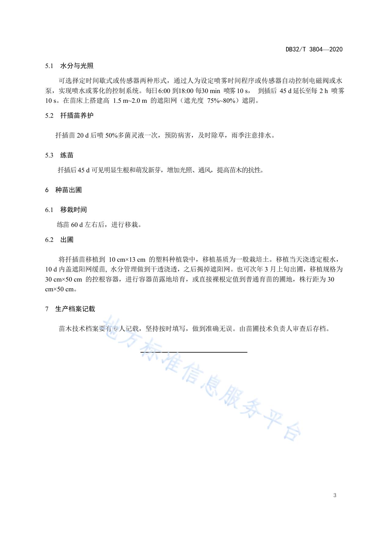 金叶接骨木扦插育苗技术规程