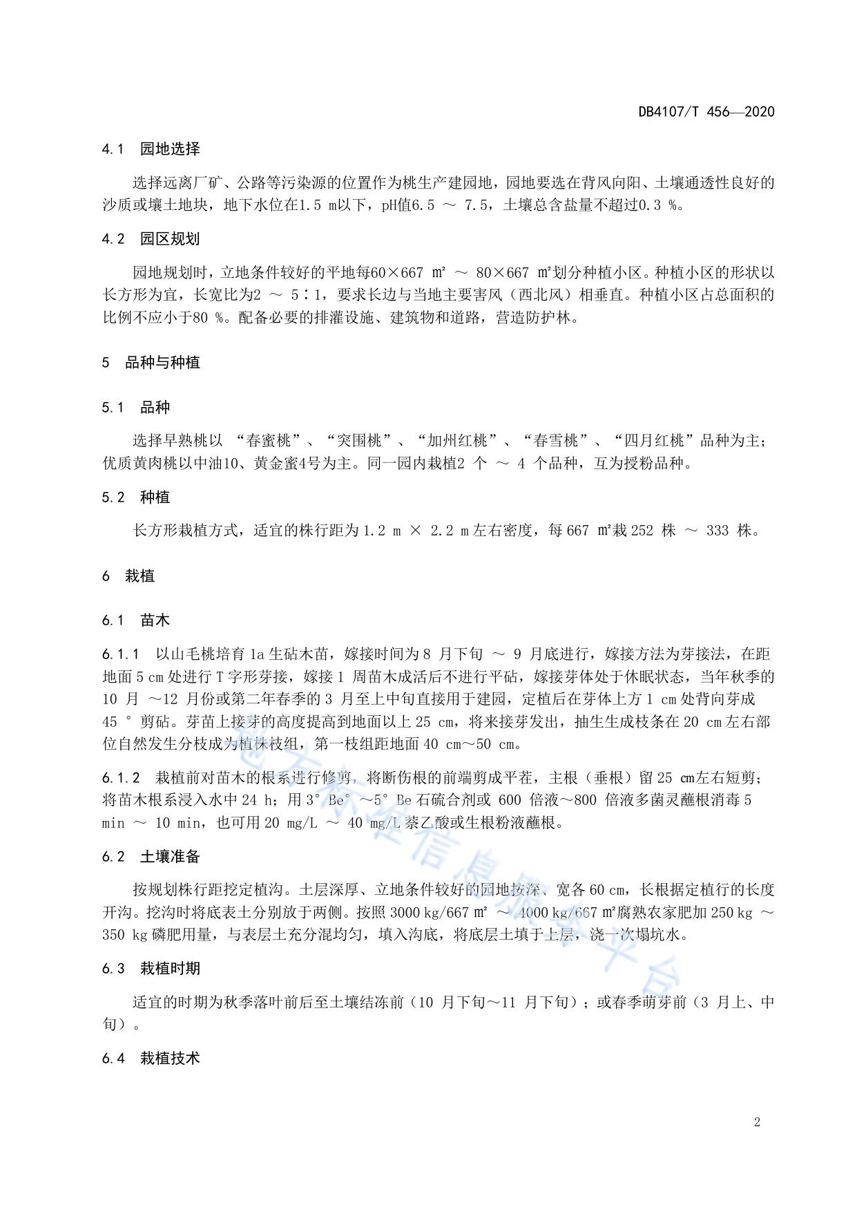 黄河滩区桃生产技术规程