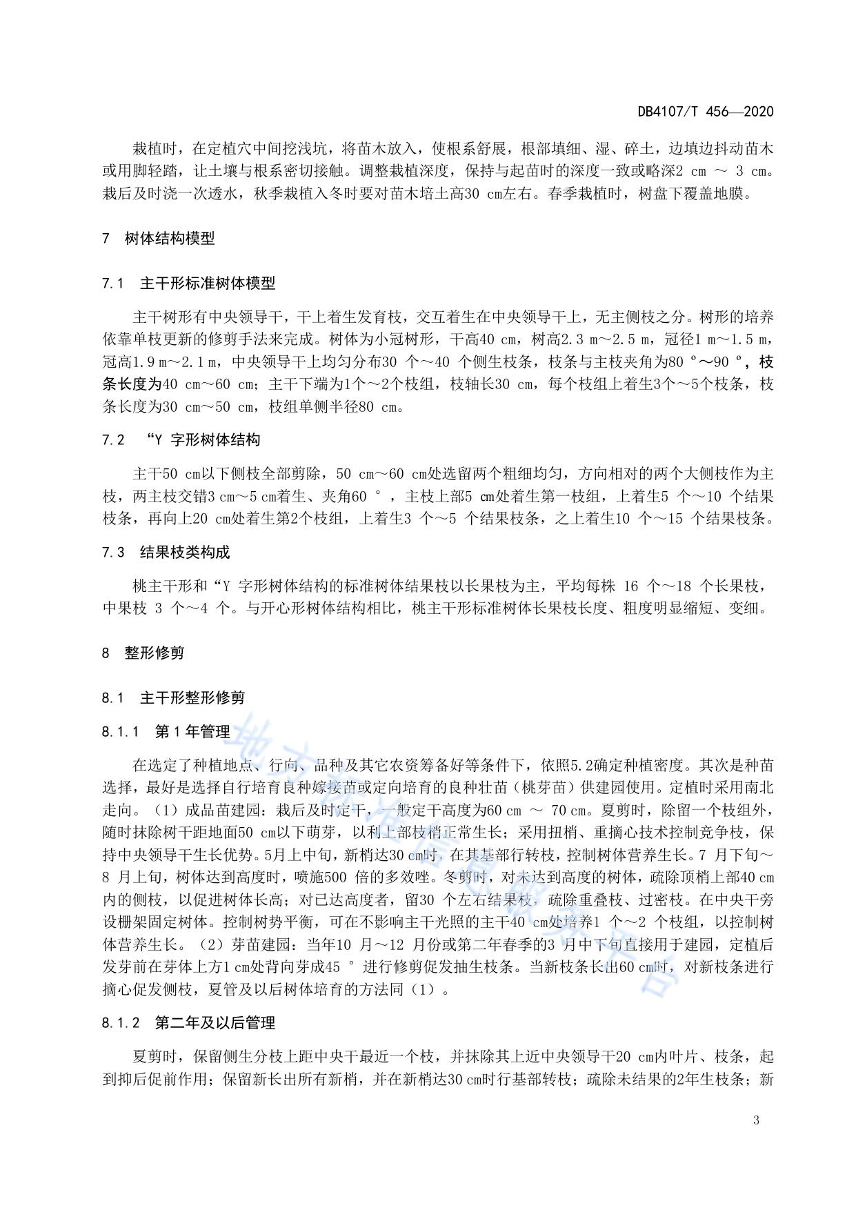 黄河滩区桃生产技术规程