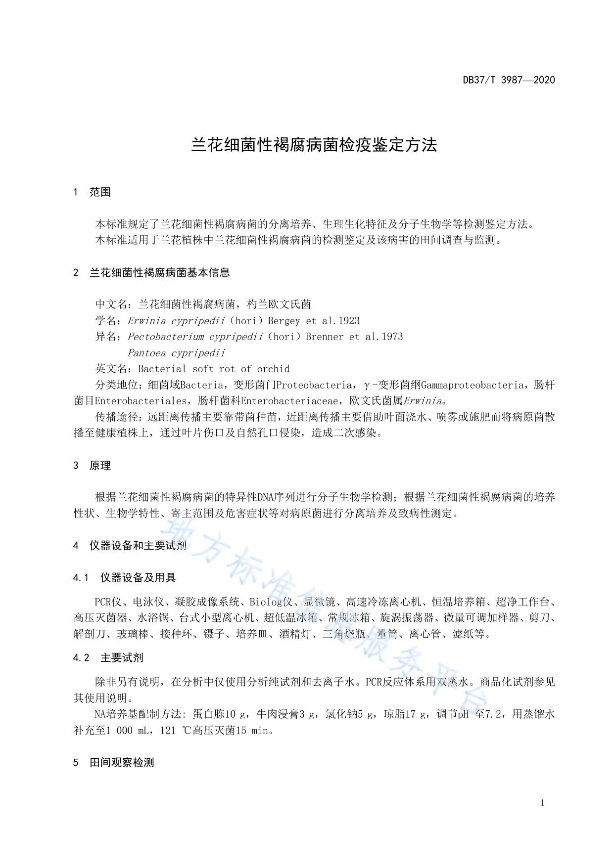 兰花细菌性褐腐病菌检疫鉴定方法