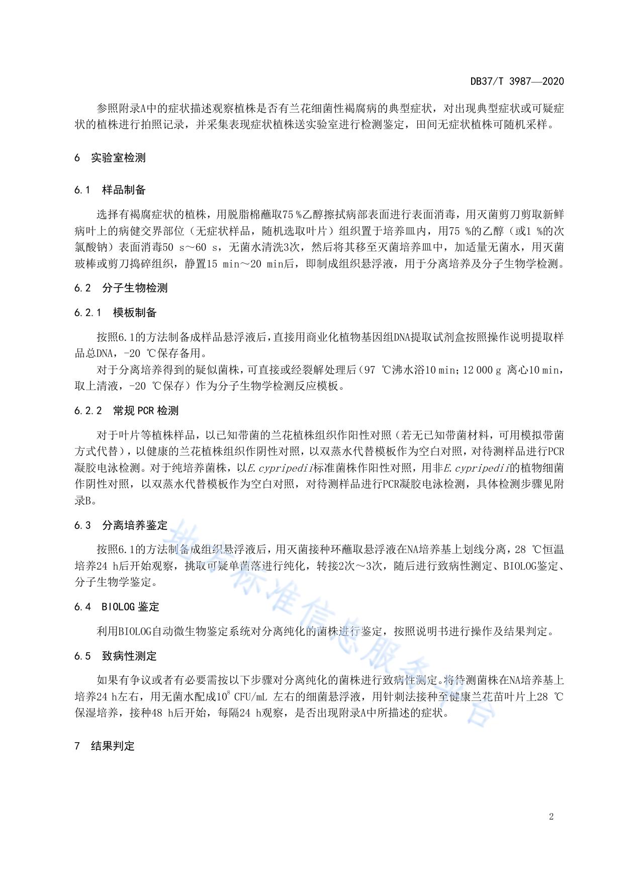 兰花细菌性褐腐病菌检疫鉴定方法