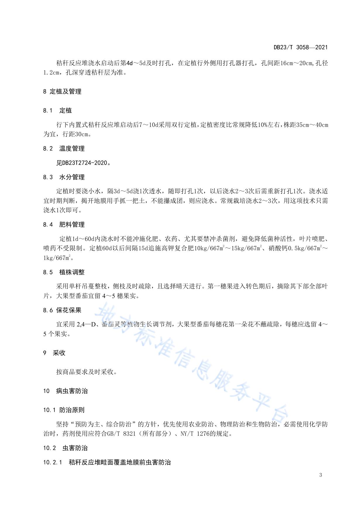 早春大棚番茄行下内置式秸秆反应堆栽培技术规程