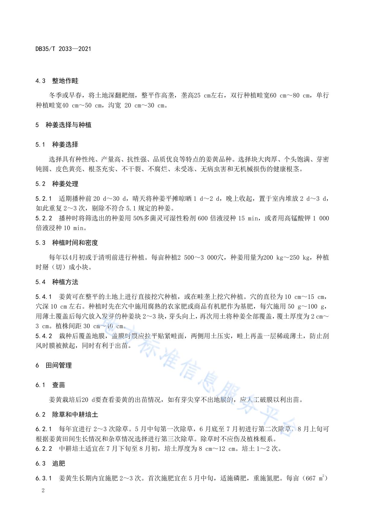 姜黄栽培技术规范