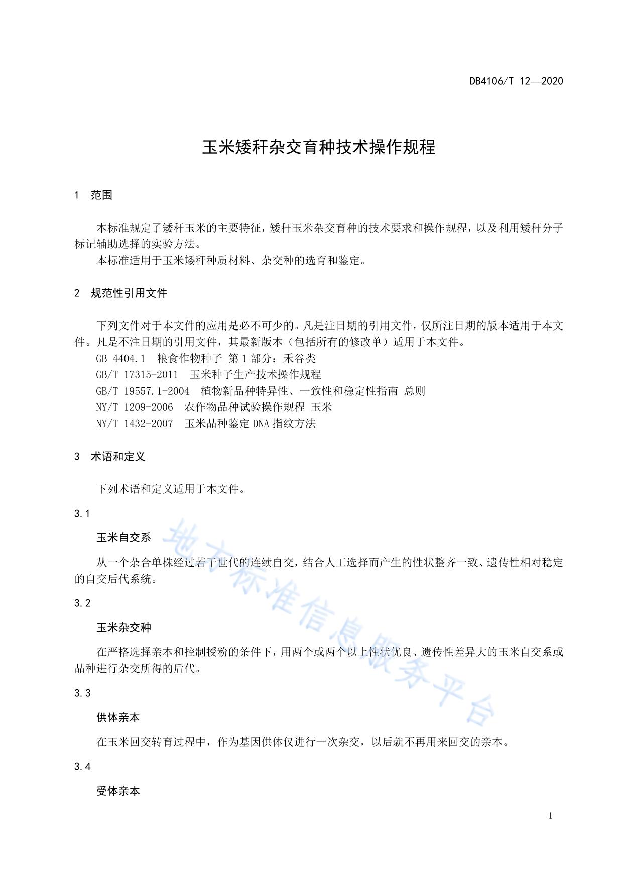 玉米矮秆杂交育种技术操作过程