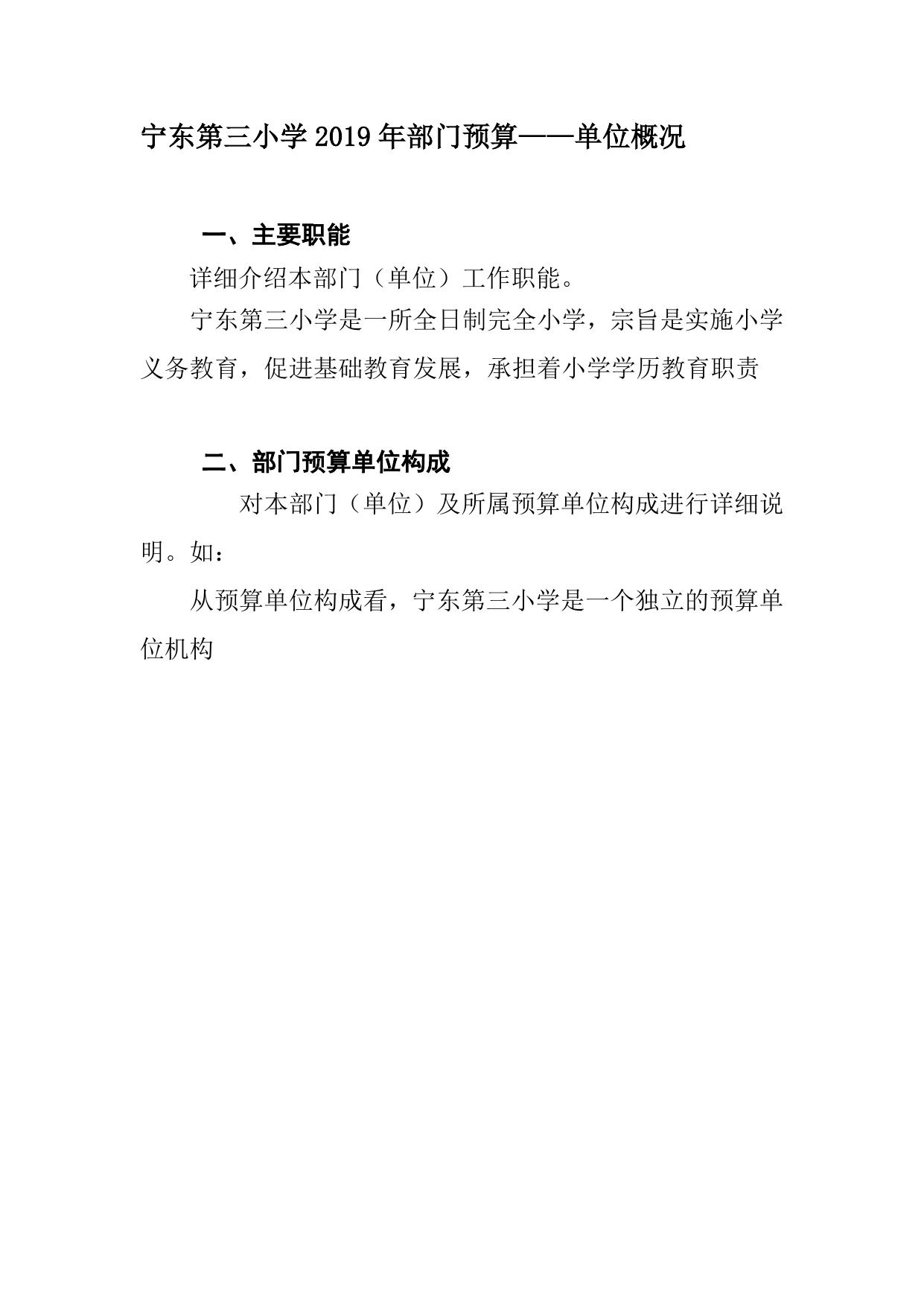 2019年宁东第三小学部门预算公开.doc