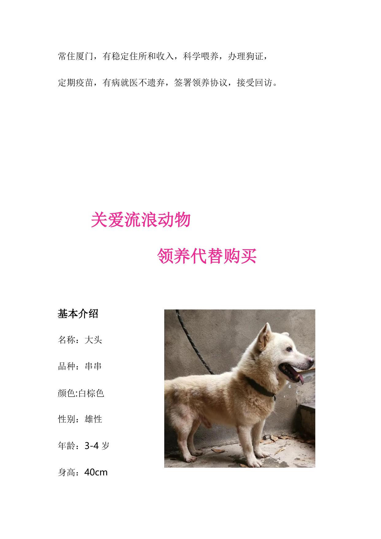 领养犬只介绍（第二批）.docx