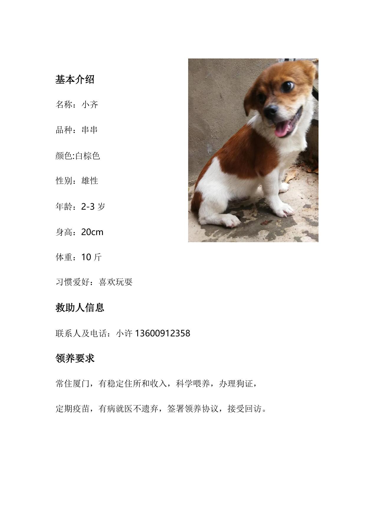 领养犬只介绍（第二批）.docx