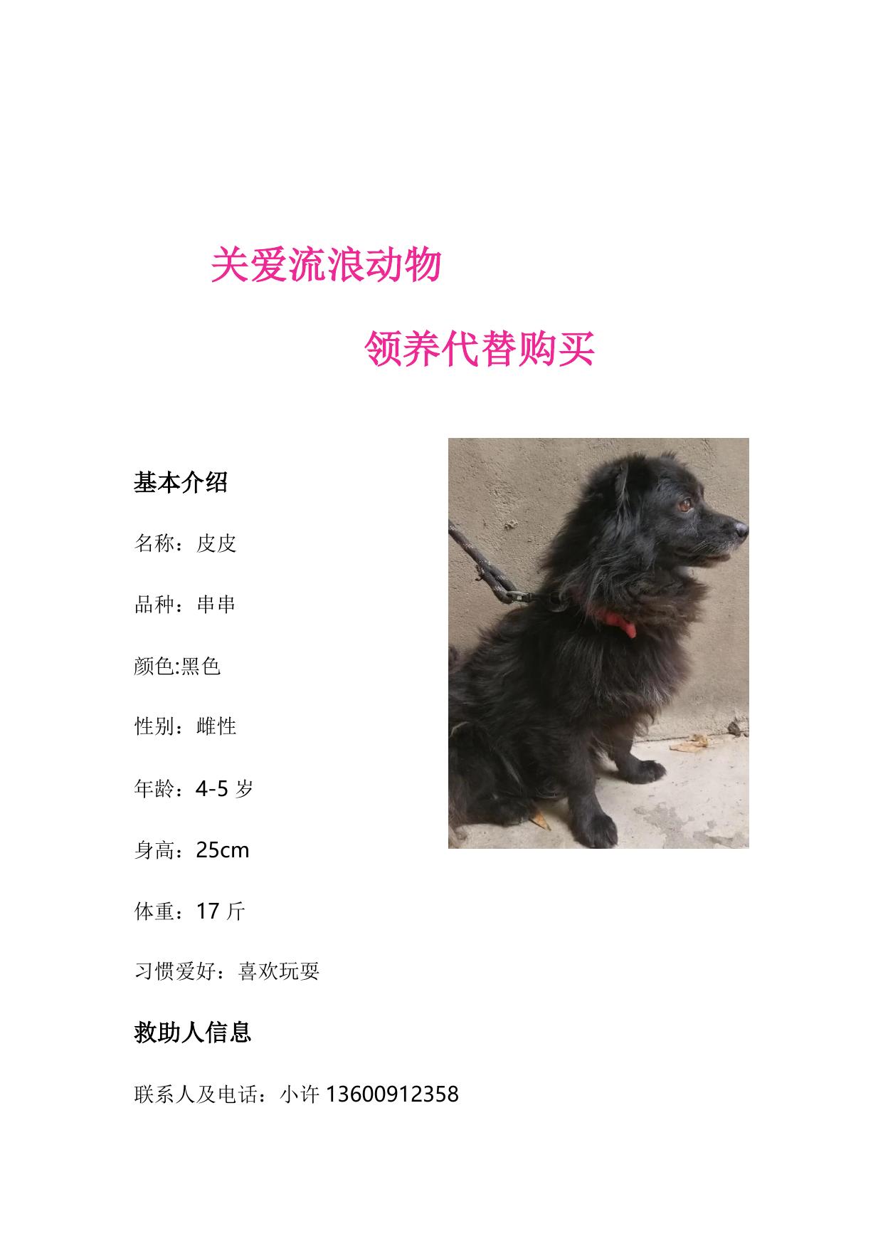 领养犬只介绍（第二批）.docx