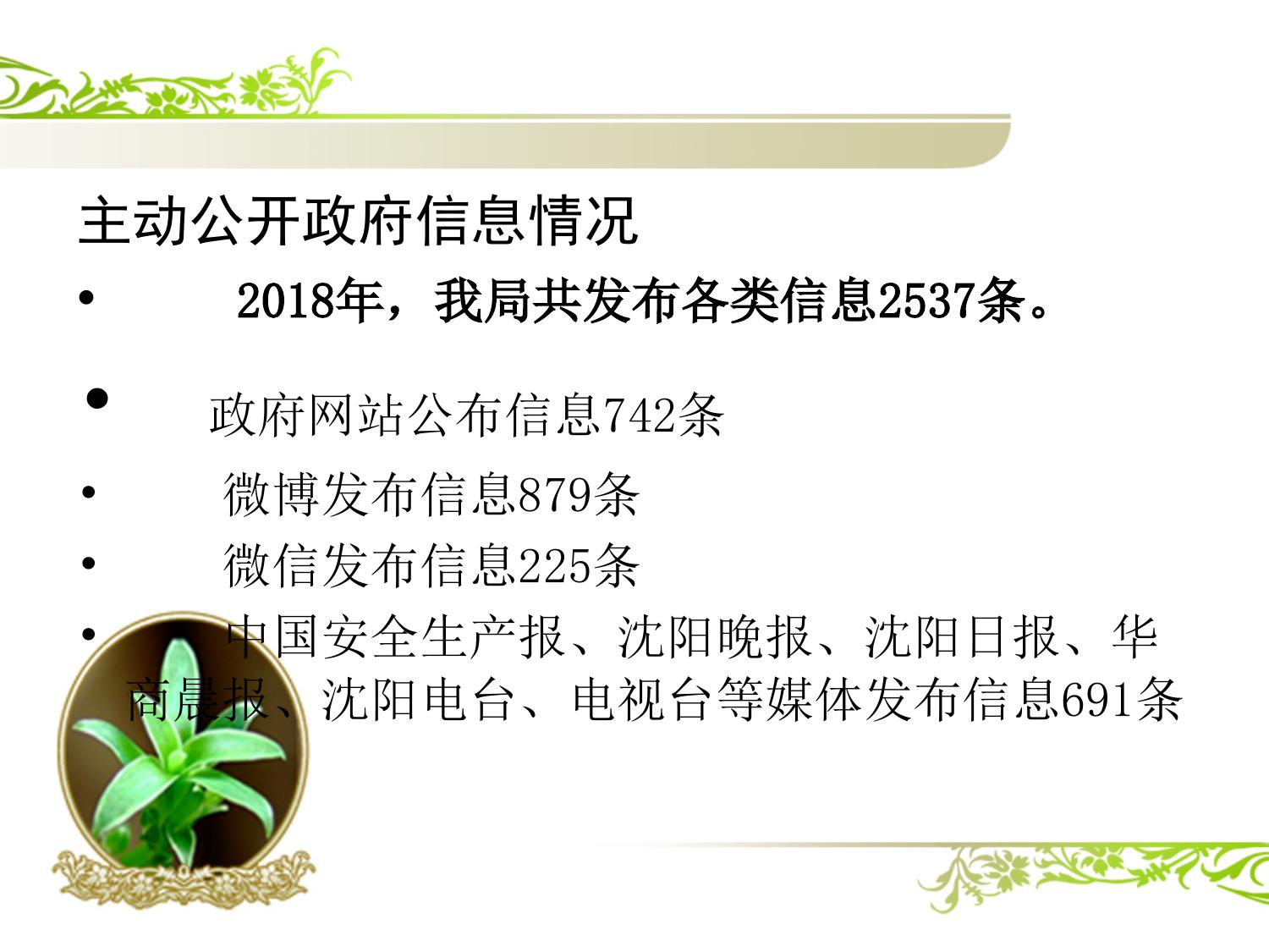 沈阳市应急管理局2018年度政府信息公开工作报告图解版.ppt