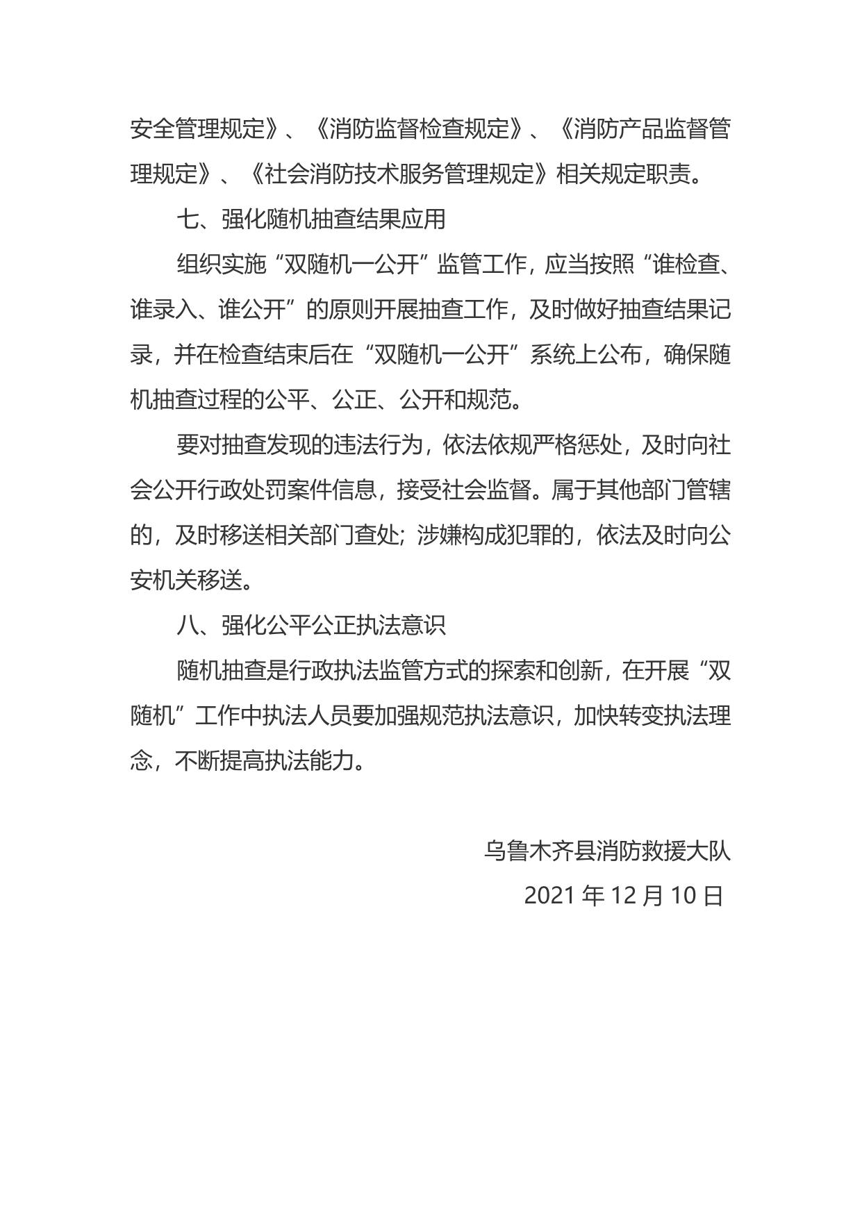 乌鲁木齐县消防救援大队2022年双随机一公开抽查计划.docx