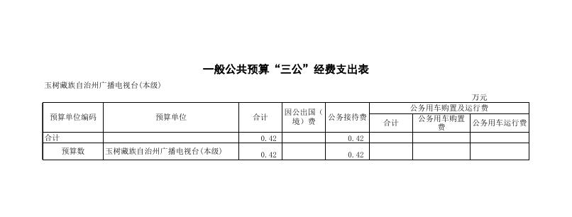 附件：2019年玉树州广播电视台部门预算公开表.pdf