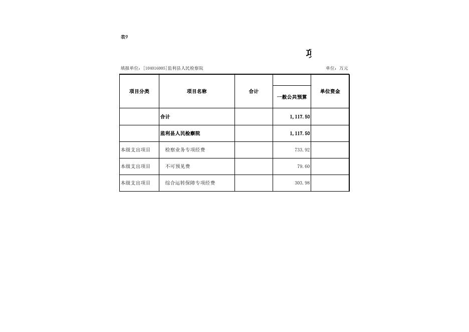 表9:项目支出表.xls