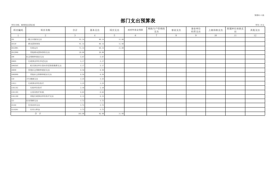 中国共产主义青年团麻栗坡县委员会2021年部门预算公开表.xlsx