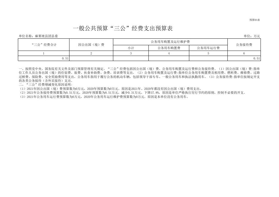 中国共产主义青年团麻栗坡县委员会2021年部门预算公开表.xlsx