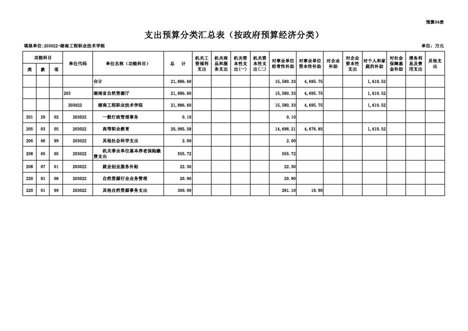 湖南工程职业技术学院2021年预算表.pdf