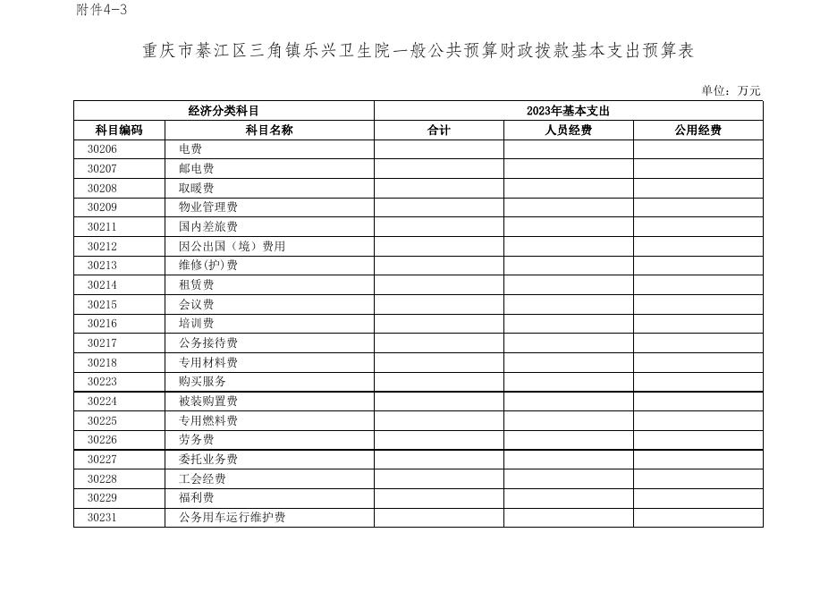乐兴卫生院2023部门预算公开附表.xls