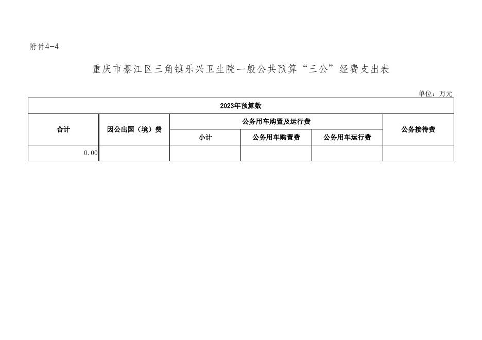 乐兴卫生院2023部门预算公开附表.xls