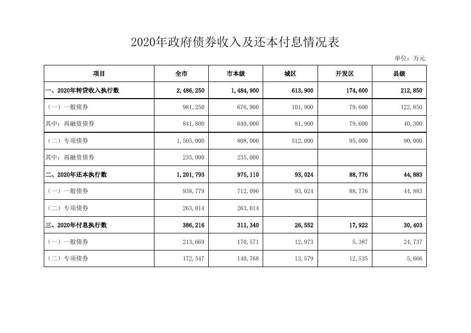 2020年政府债务限额及余额情况表债券收入及还本付息情况表.xls