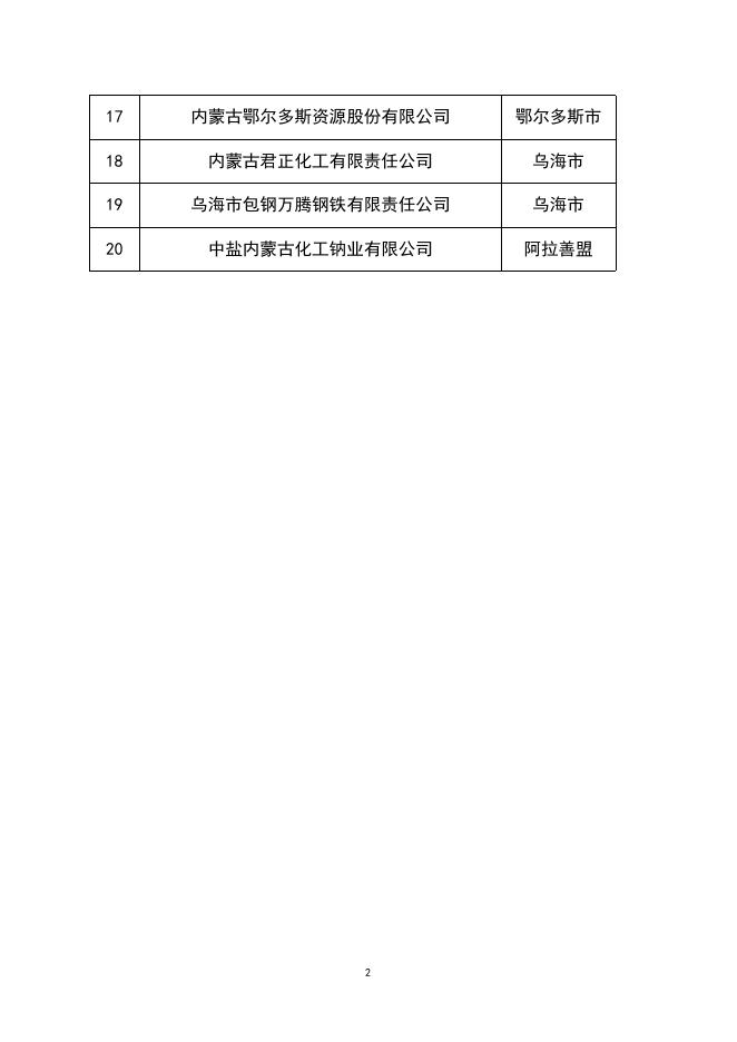 领军企业名单.docx