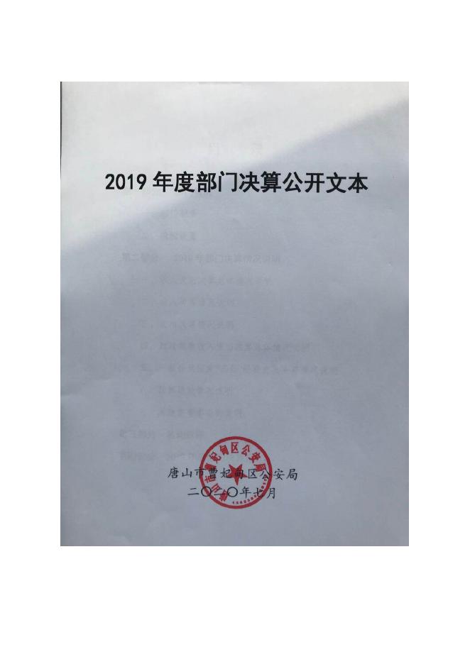 2019年公安局部门汇总决算公开(2).docx
