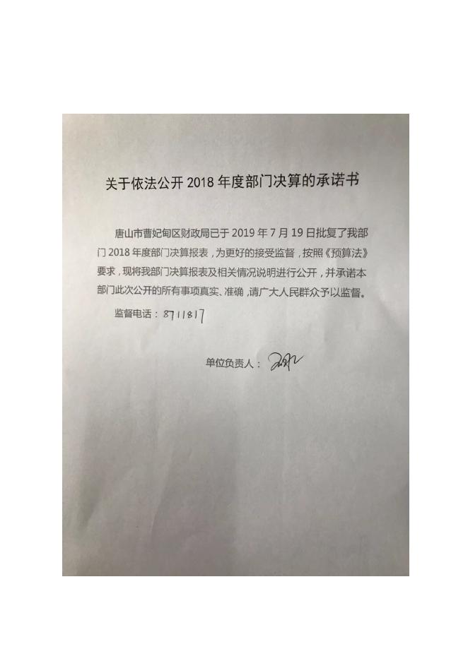 新2018团委决算公开.docx