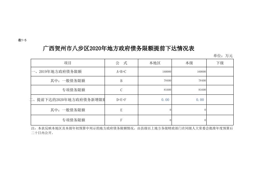 2020年八步区地方政府债务信息预算公开.xlsx